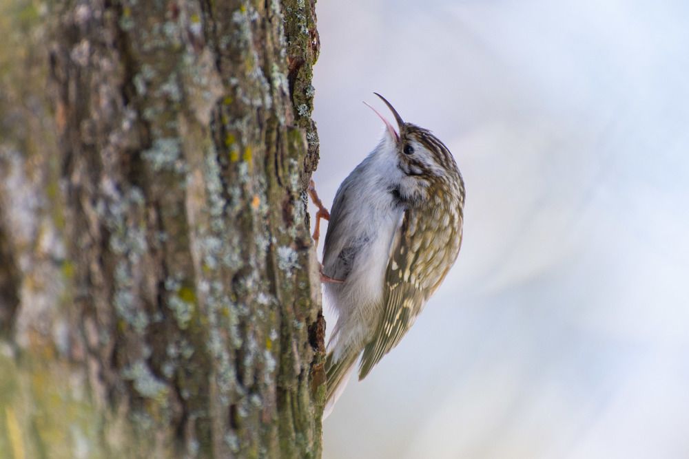 Photograph by Мария Долбич