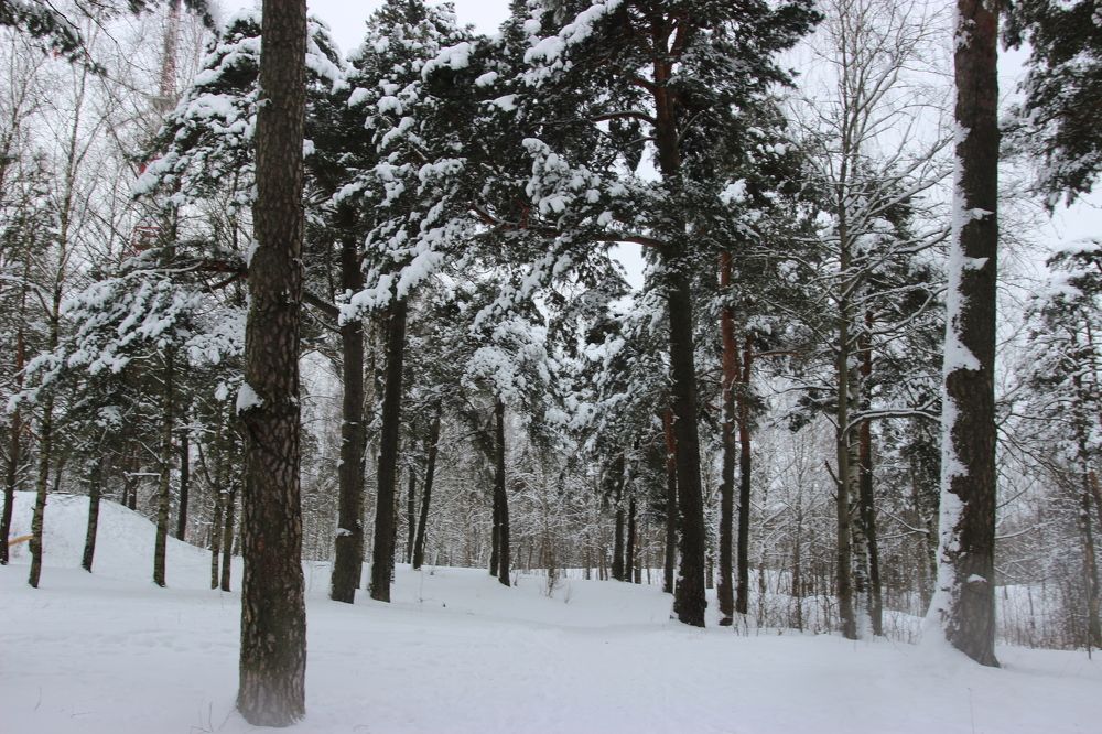 Photograph by Лебедевич Ирочка