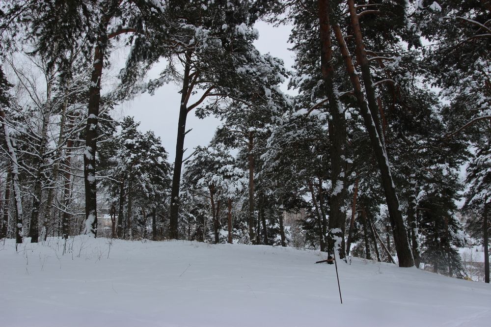 Photograph by Лебедевич Ирочка