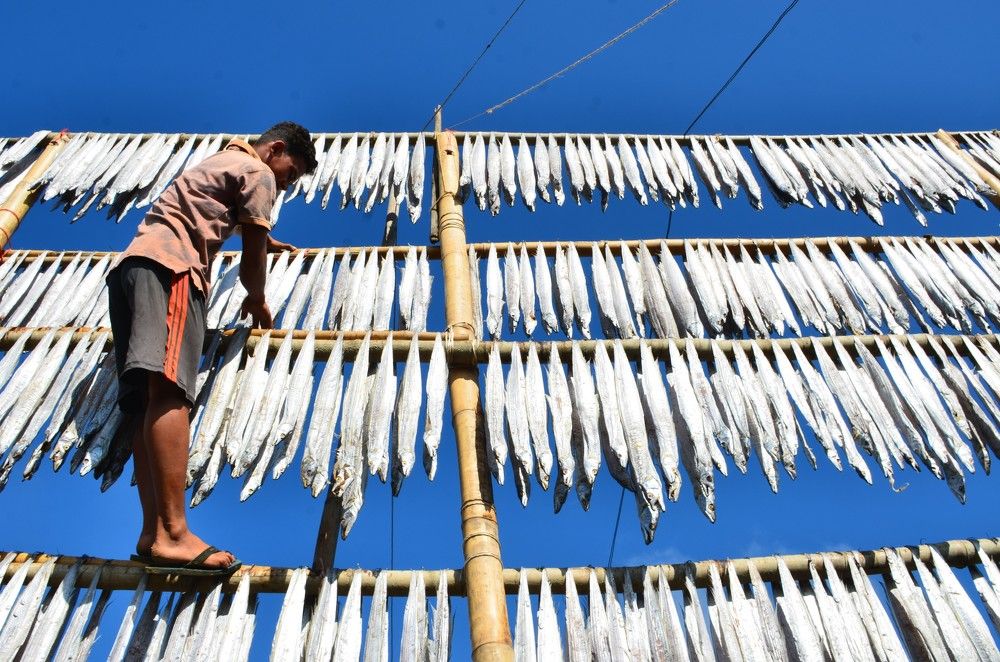 Photograph by Md. Anwar Wahed