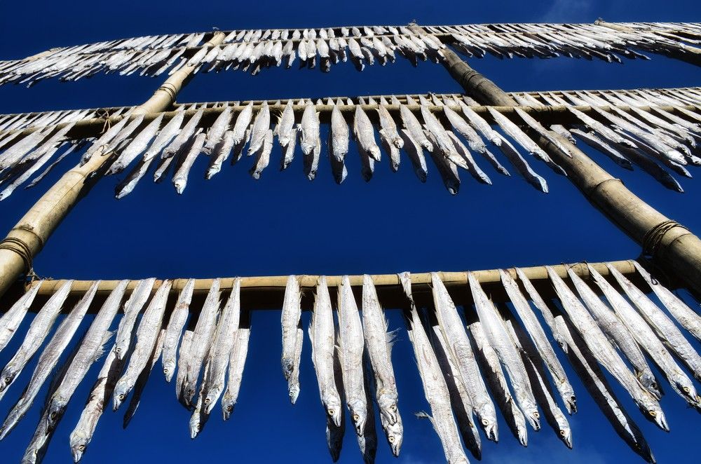 Photograph by Md. Anwar Wahed