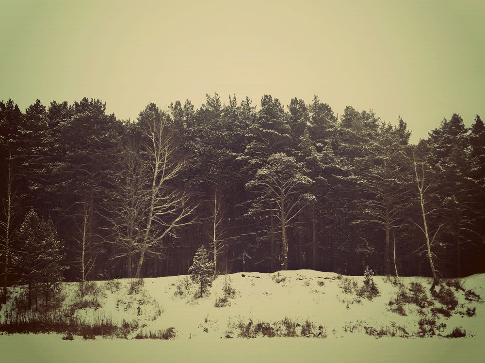 Photograph by Карина Шаланкова