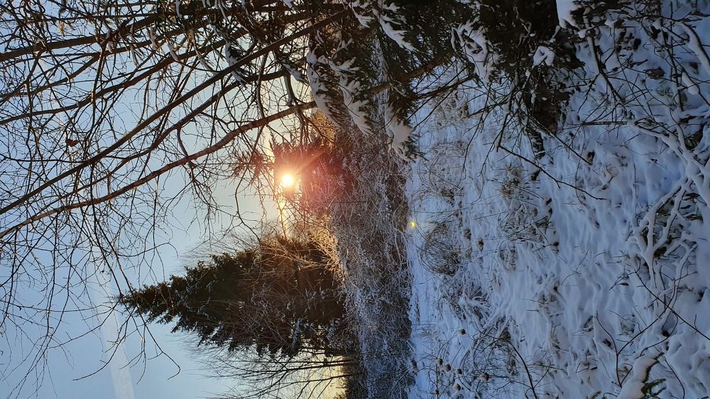 Photograph by Alena L.