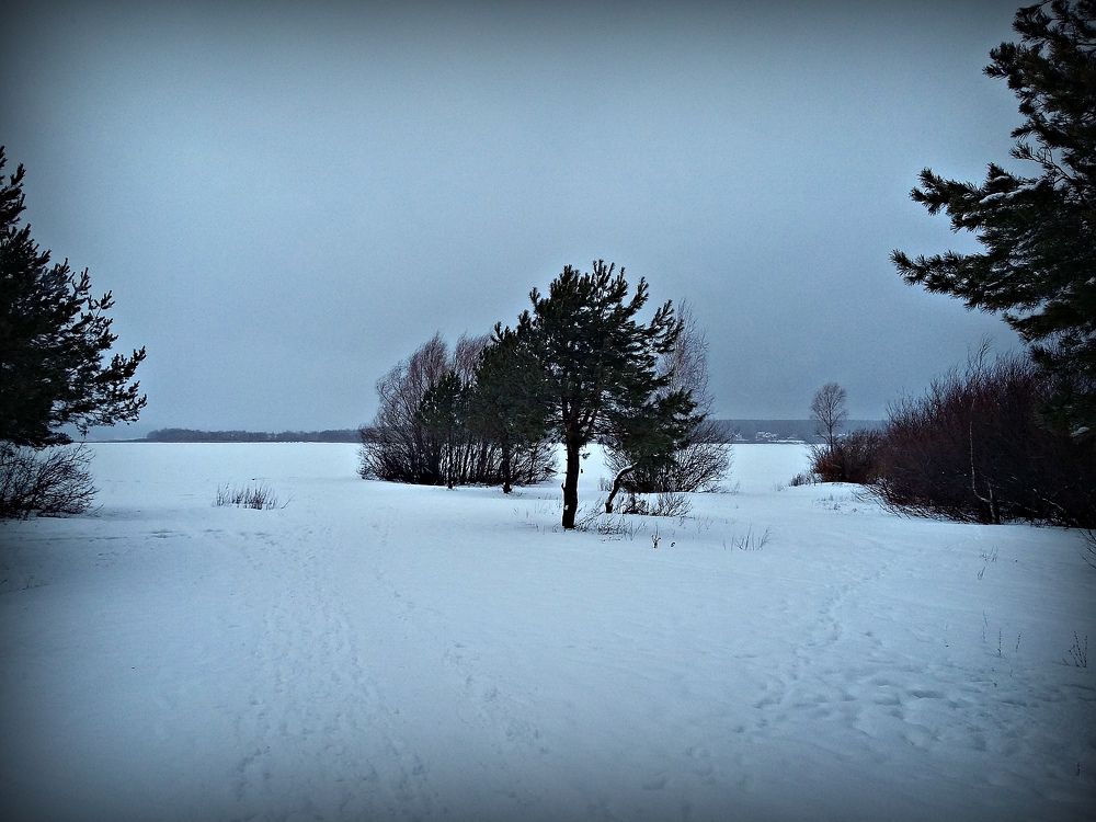 Photograph by Карина Шаланкова