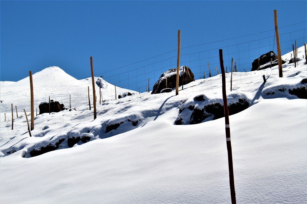 Photograph by Esmaeil Razaghi