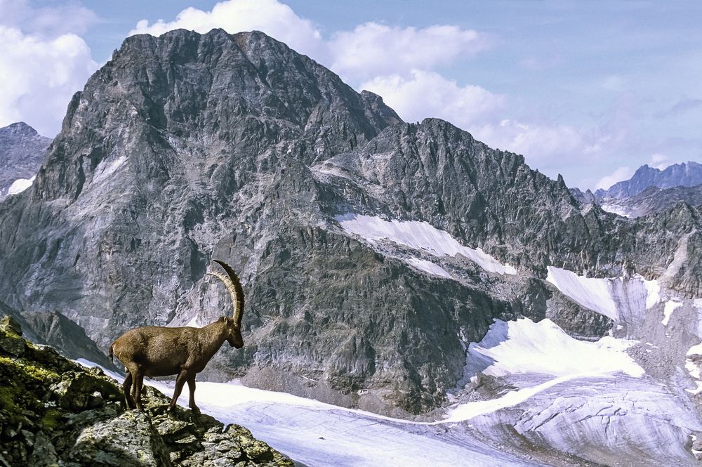 a great moment in front of the peak