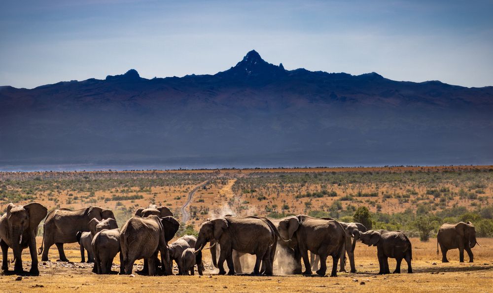 Photograph by Rio Marvin