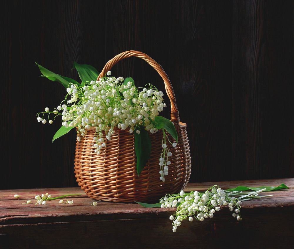 Привет из мая