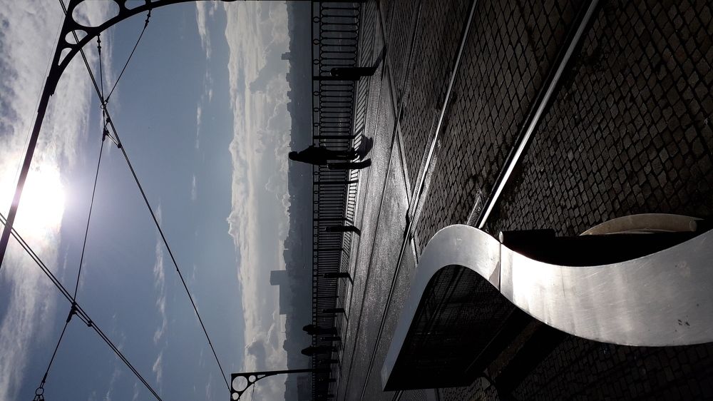 Photo #5691239