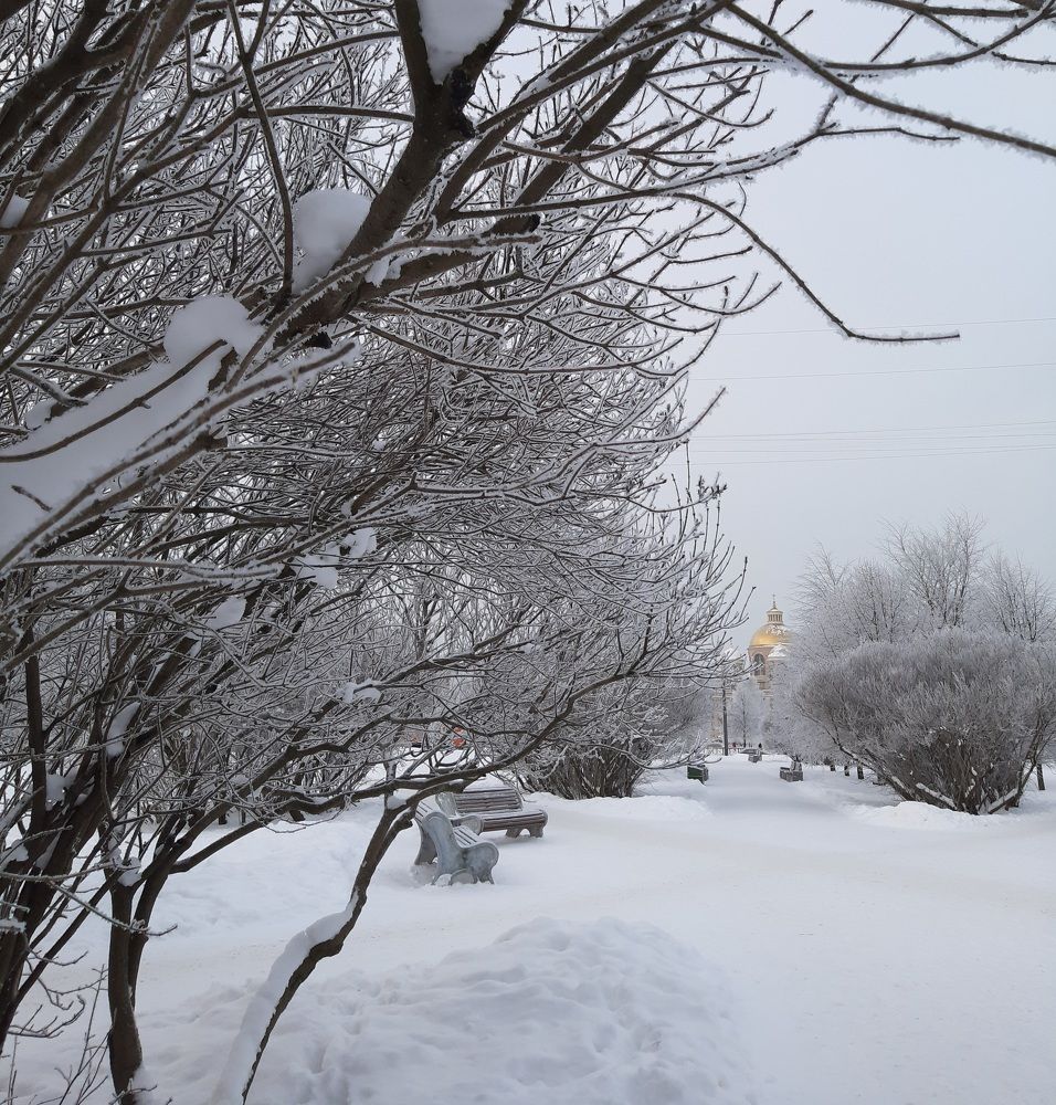 Фотография автора Светлана Дунаева
