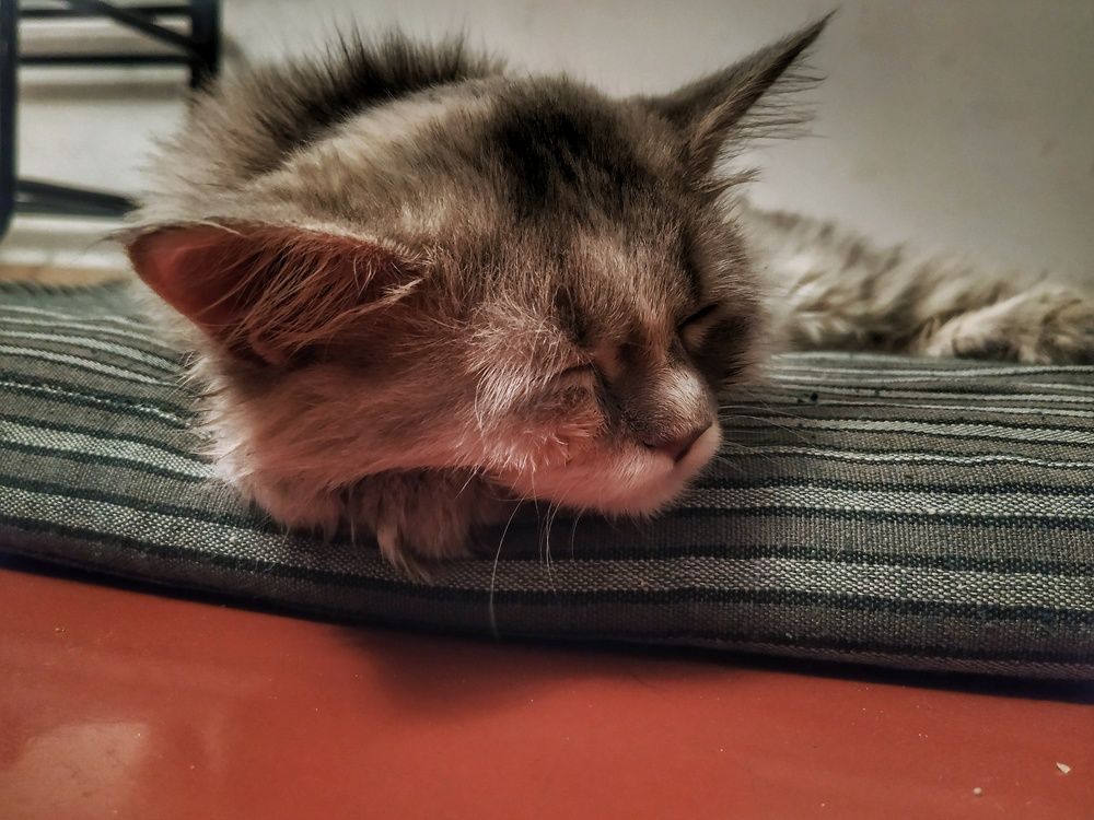 Photograph by Mitul Mistry