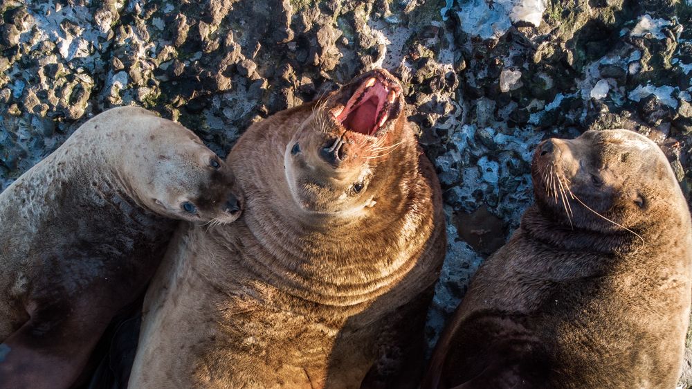 Photograph by Денис Винарь