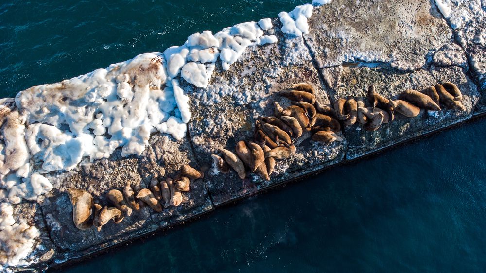 Photograph by Денис Винарь