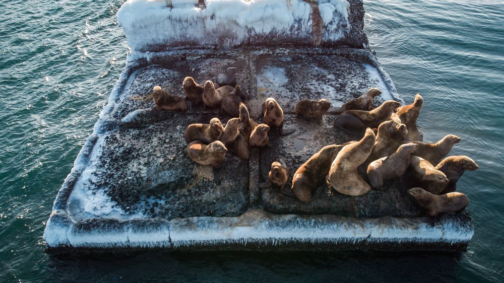 Photograph by Денис Винарь