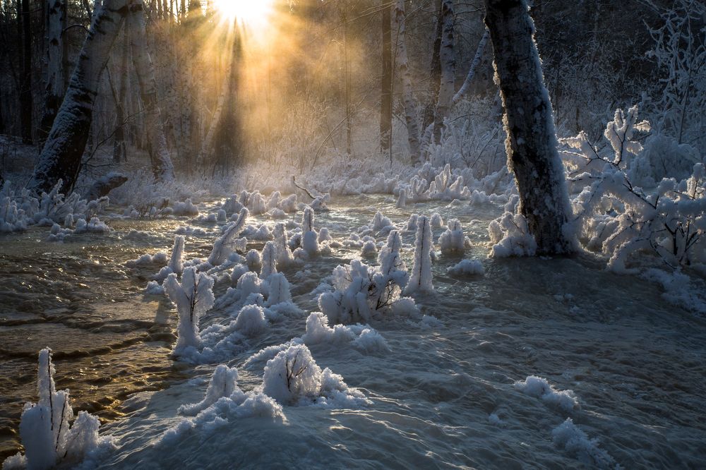 Photograph by Комеров Роман