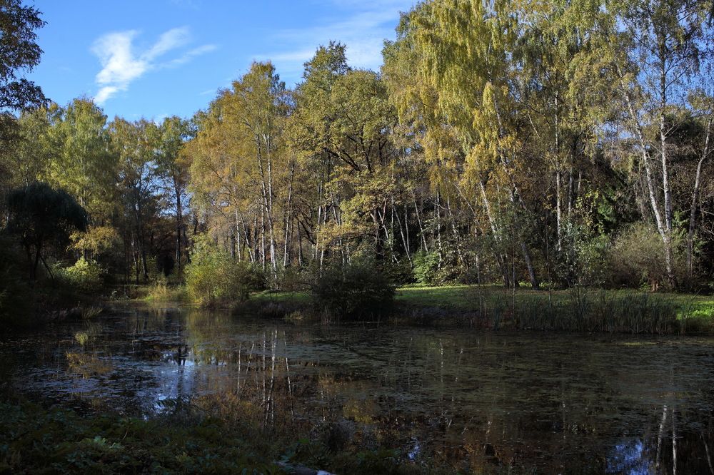 Photograph by Константин Лагоденко