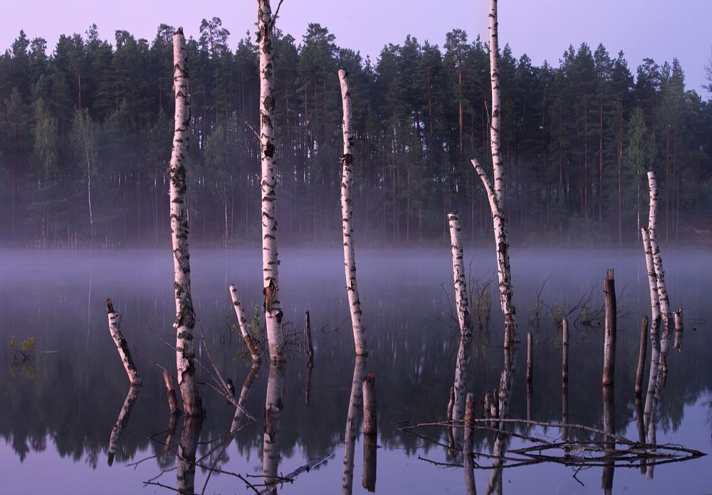 Photograph by Тимофей Бутов