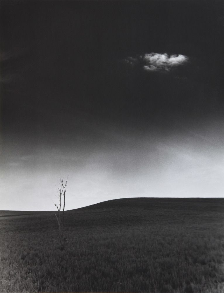 Фотография автора Виктор Кириллов