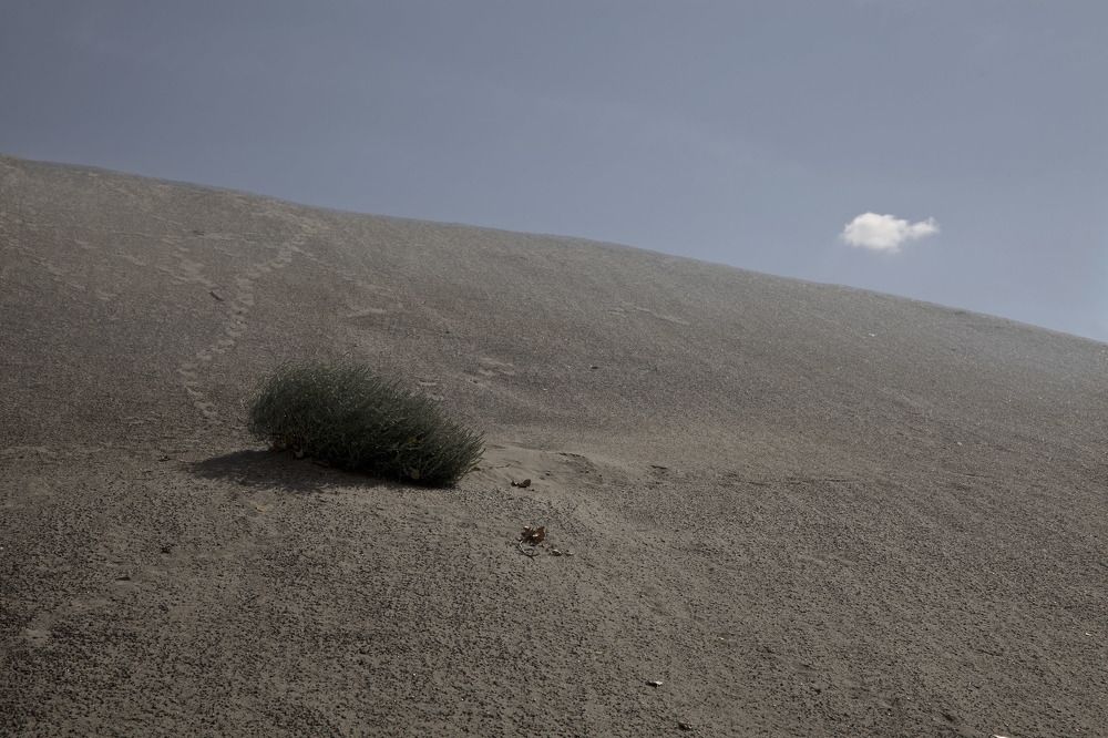 Фотография автора Виктор Кириллов