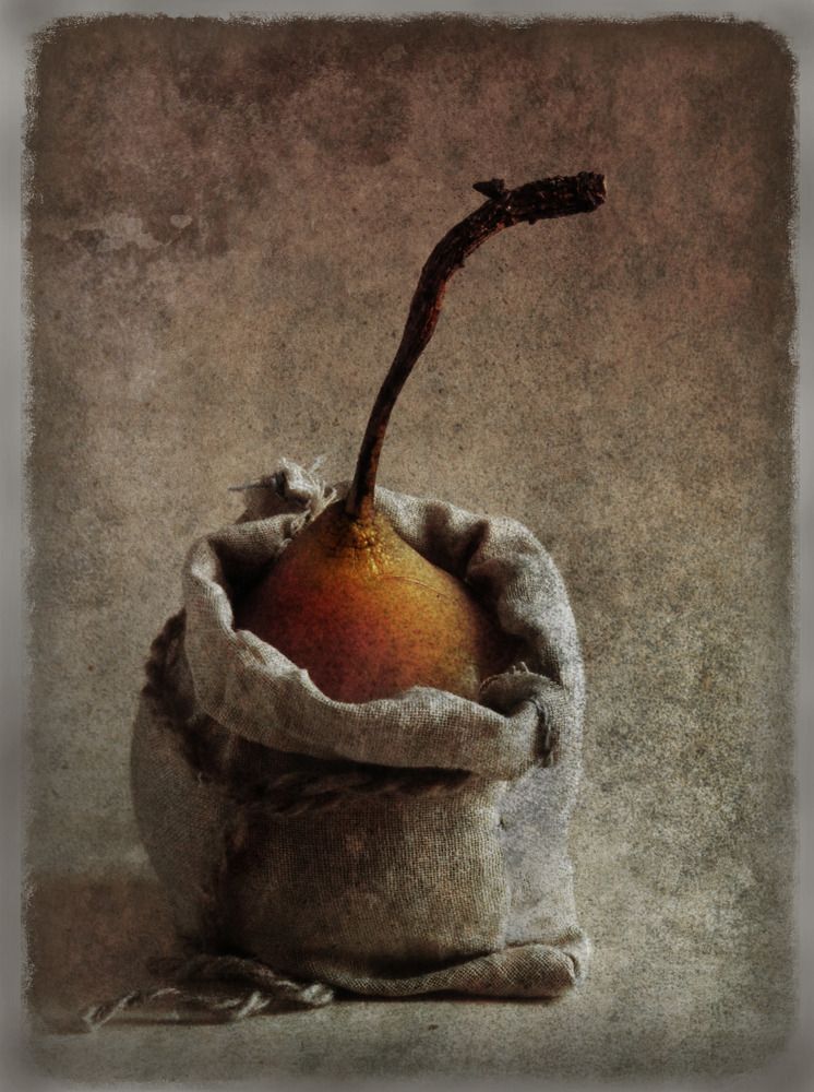 Фотография автора Виктор Кириллов