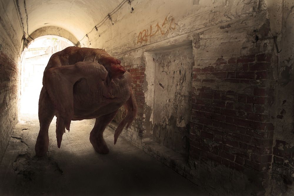 Фотография автора Виктор Кириллов