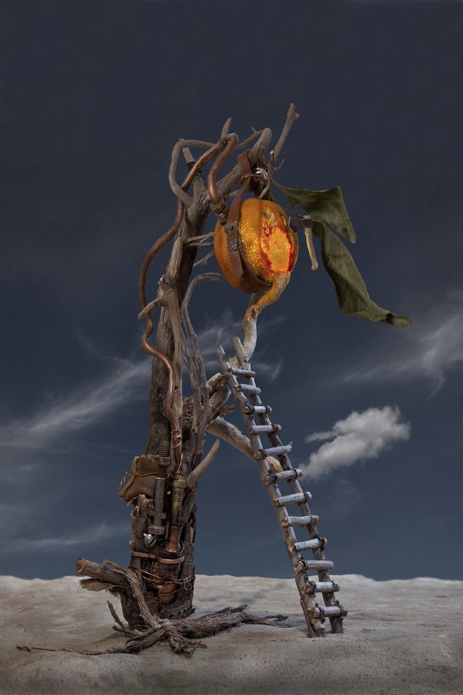 Фотография автора Виктор Кириллов