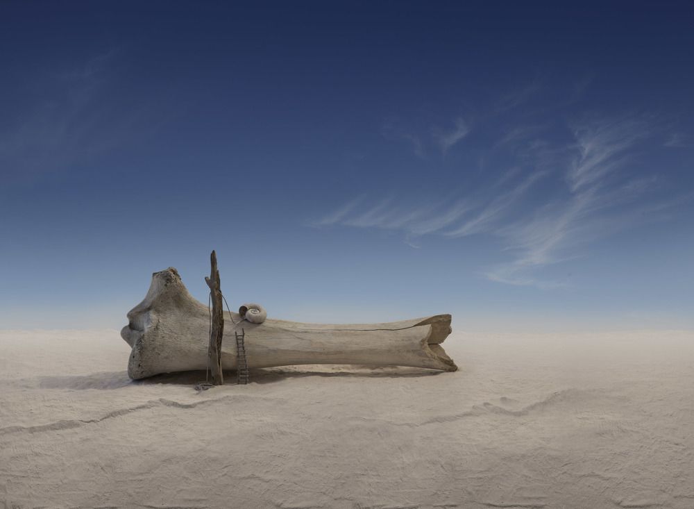 Фотография автора Виктор Кириллов