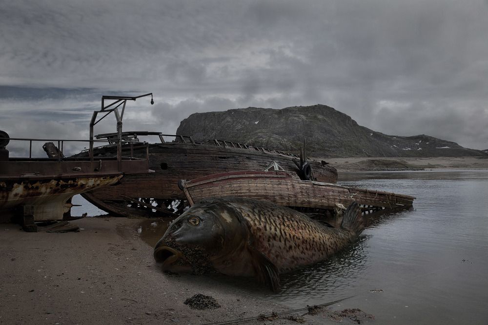 Фотография автора Виктор Кириллов