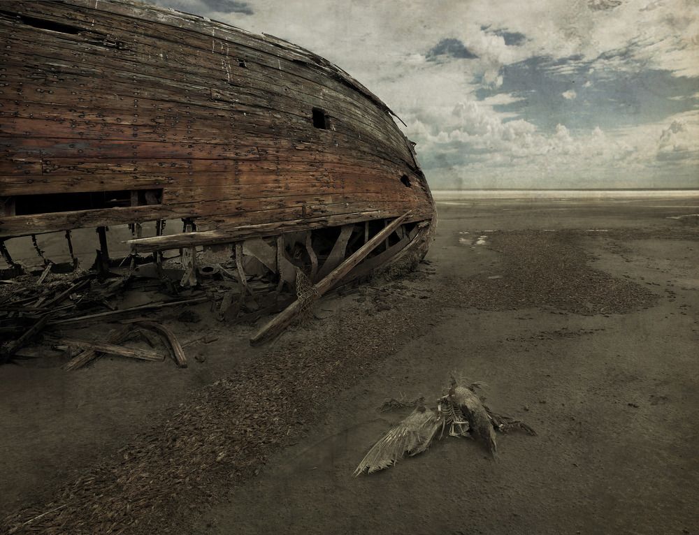 Фотография автора Виктор Кириллов