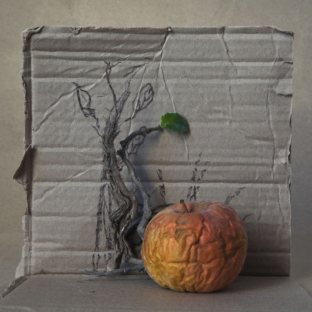 Фотография автора Виктор Кириллов