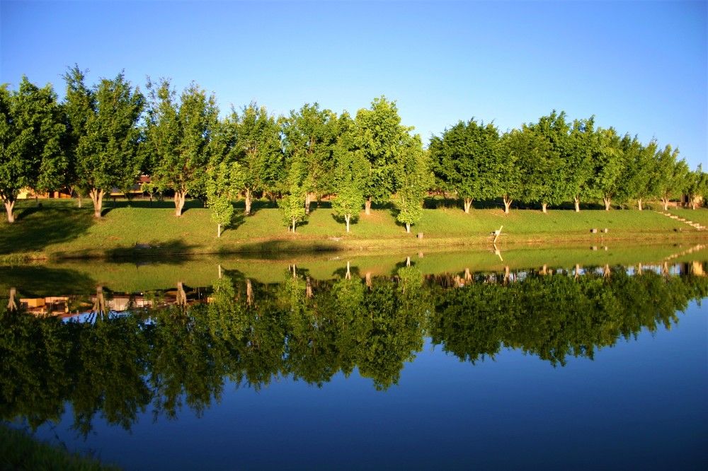 Photograph by Esmaeil Razaghi