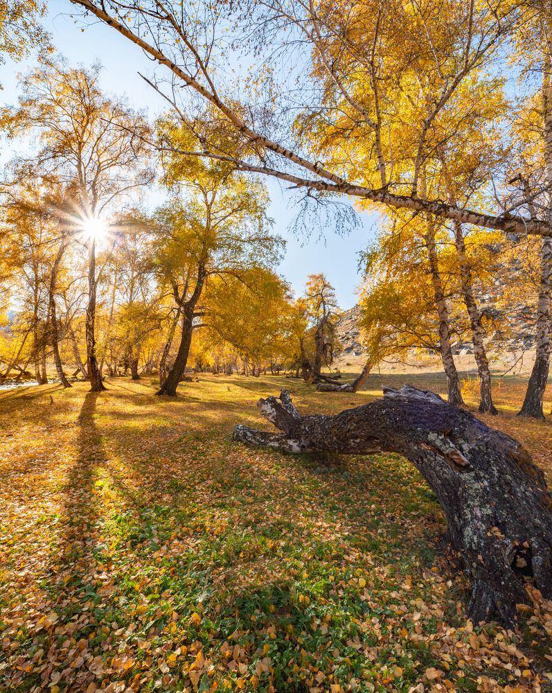 Photograph by Константин Дэм