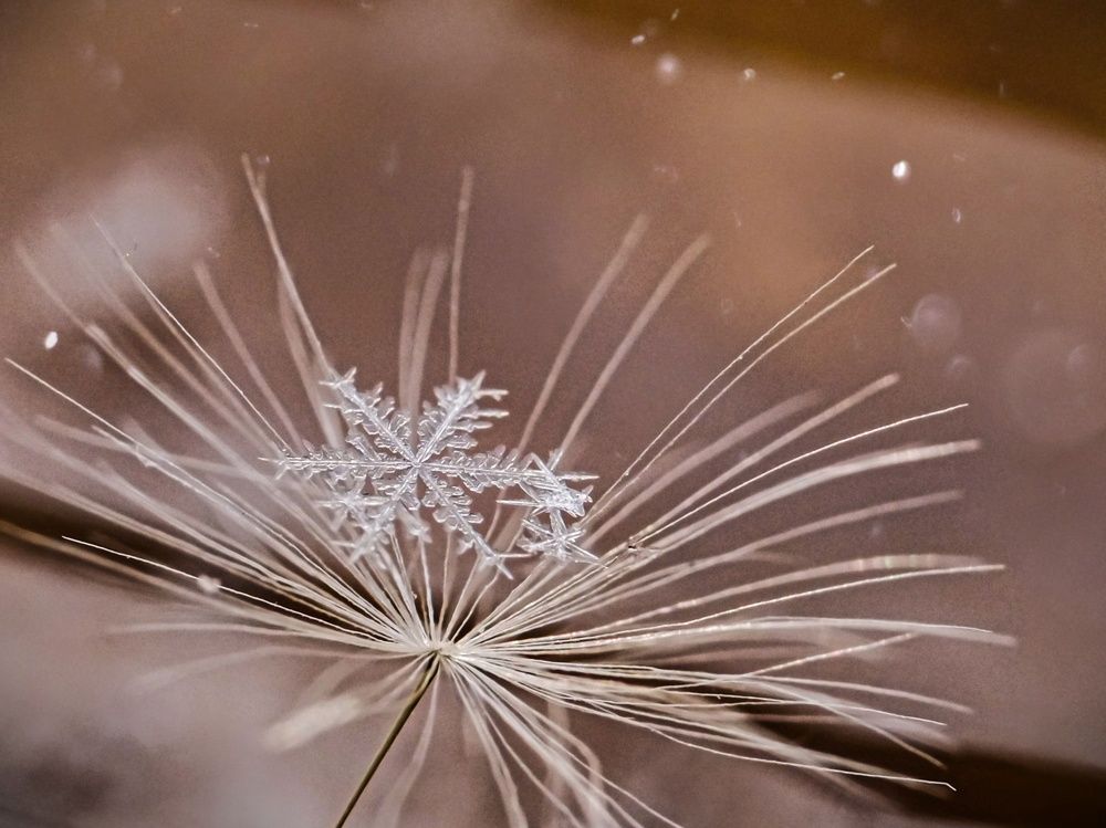 Photograph by Юлия Иванова