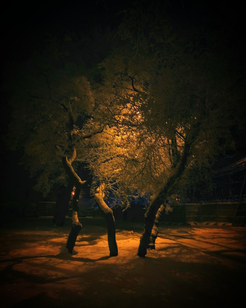 "Танец/Dance"