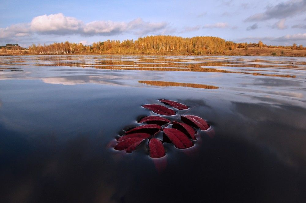 Photograph by Юрий Яковлев