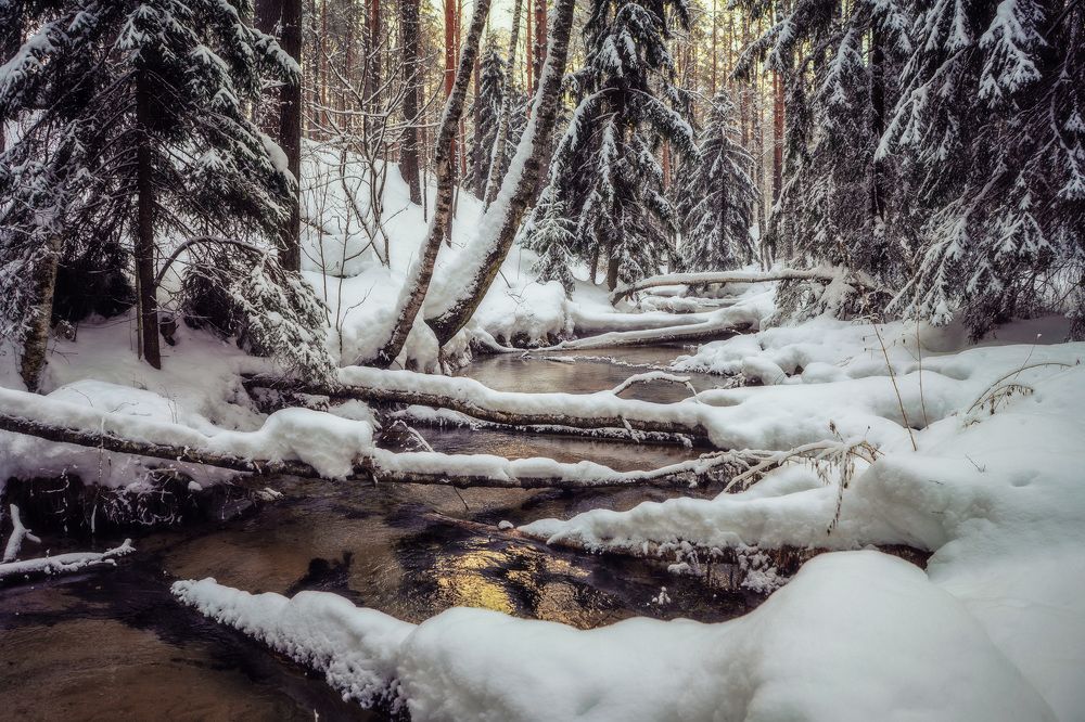 Photograph by Сергей Забиякин