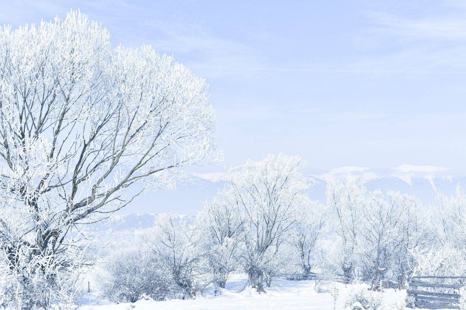 Winter in Banya