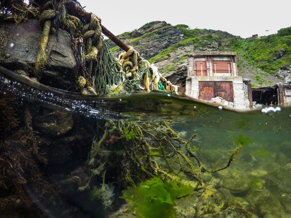 Photograph by Антон Новгородов