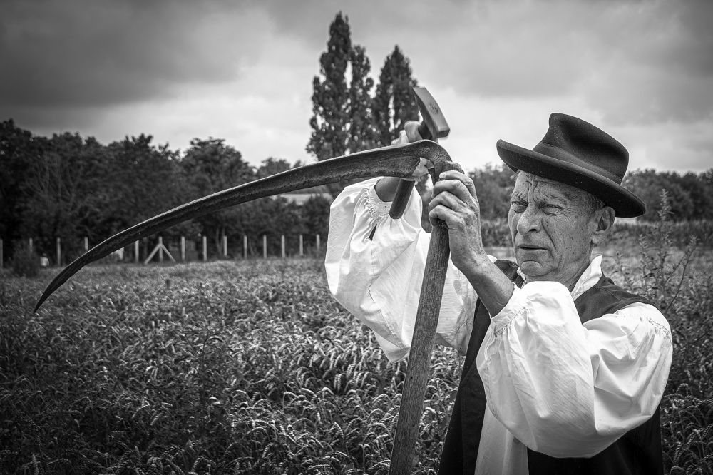Forge hair for mowing