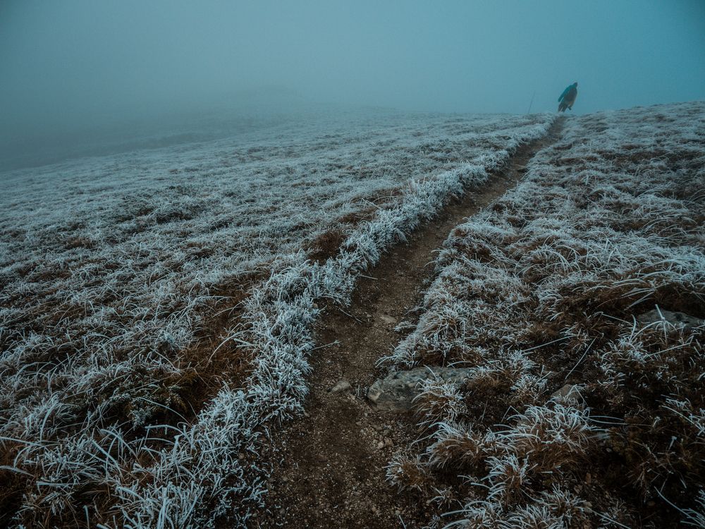 Photograph by Alexander Georgiev