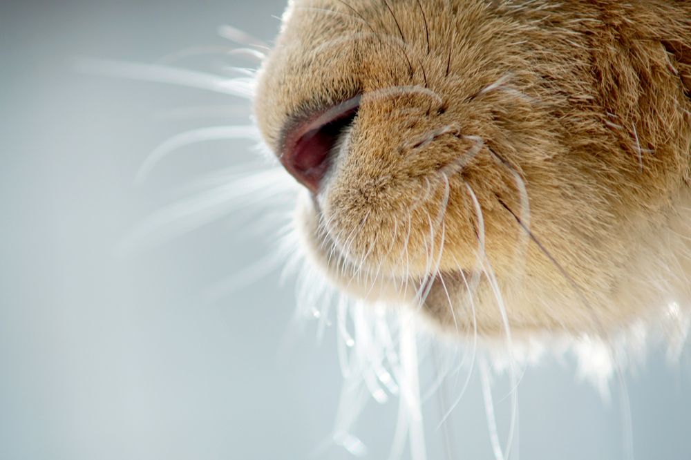 Photograph by Валерия Павличук