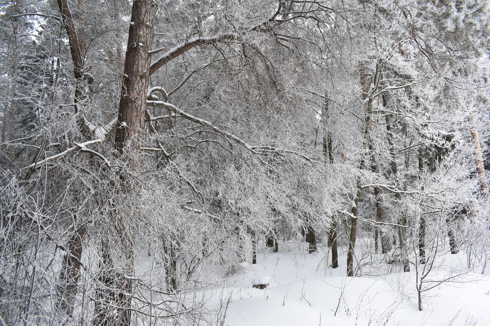 Photograph by Сергей Головин