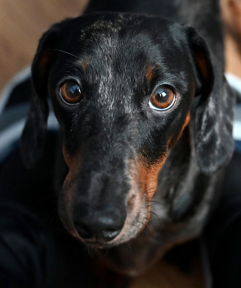 Фотография автора Сергей Митянин