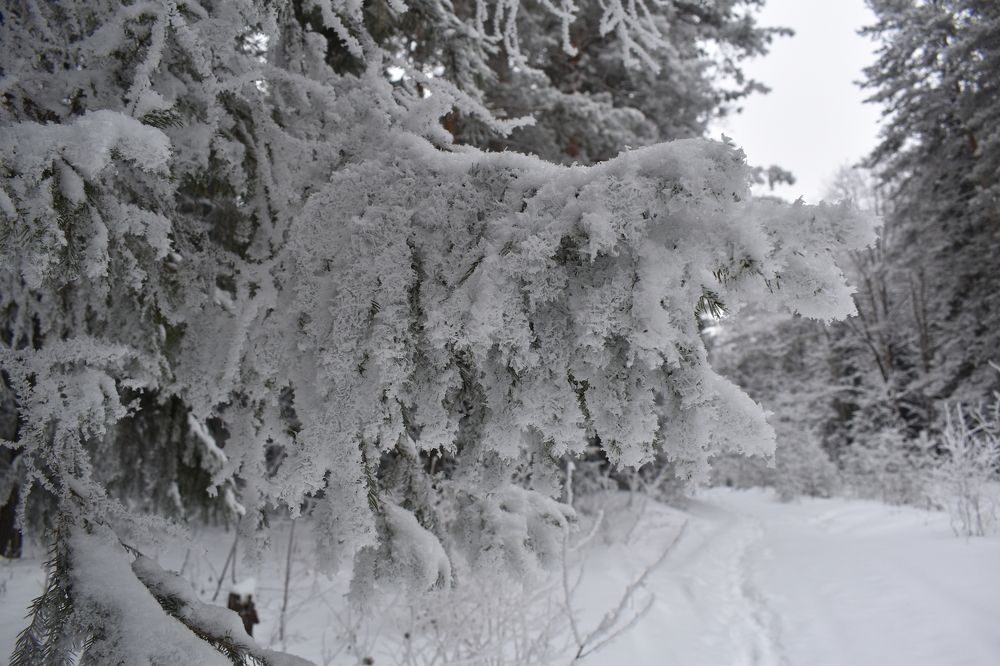 Photograph by Сергей Головин