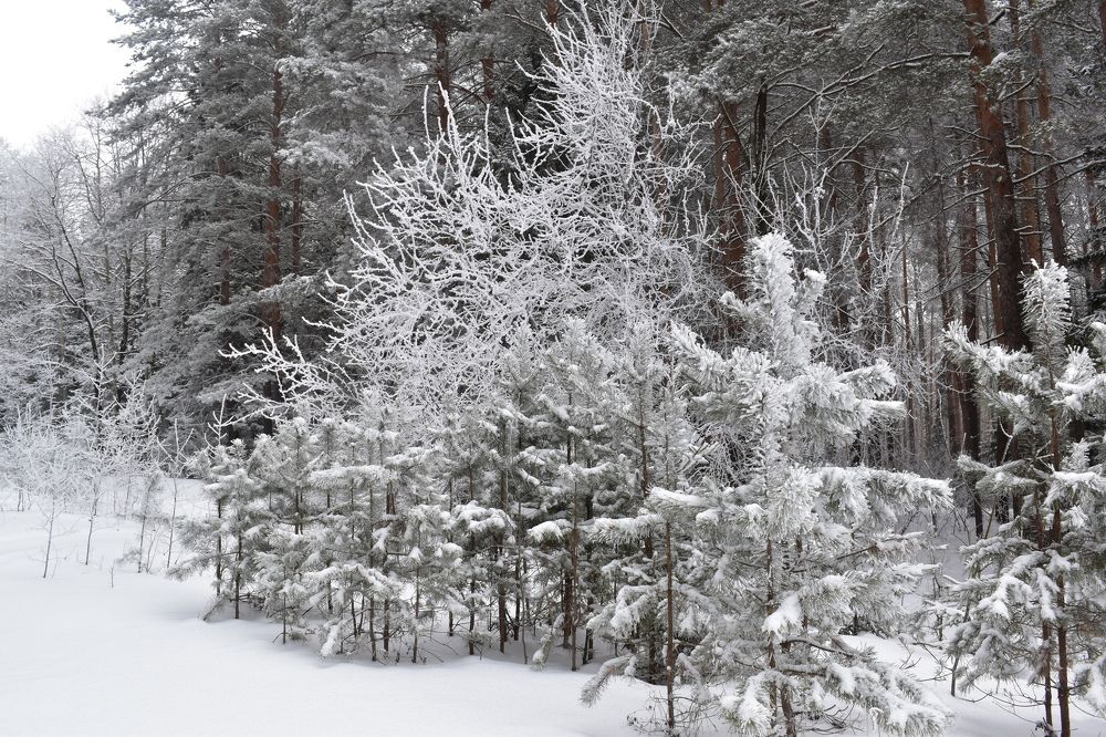 Photograph by Сергей Головин