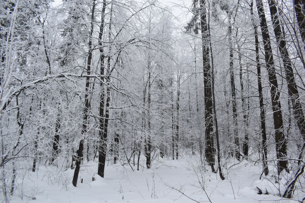 Photograph by Сергей Головин