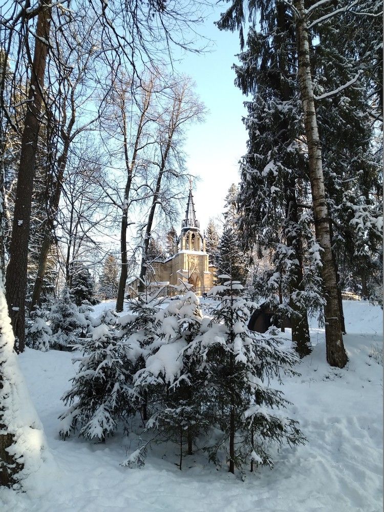 Photo #5691932