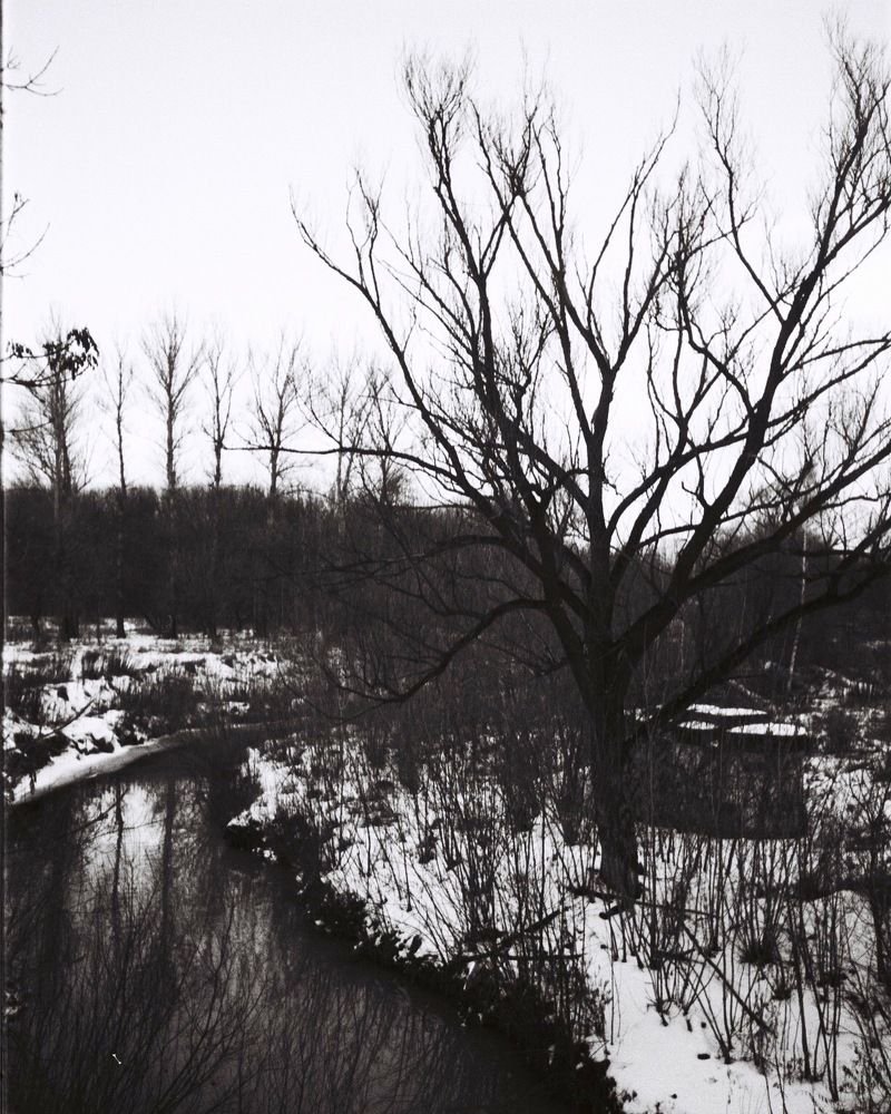 Photograph by Никита Коротких