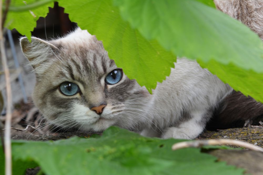 Photograph by Irina Nazarova