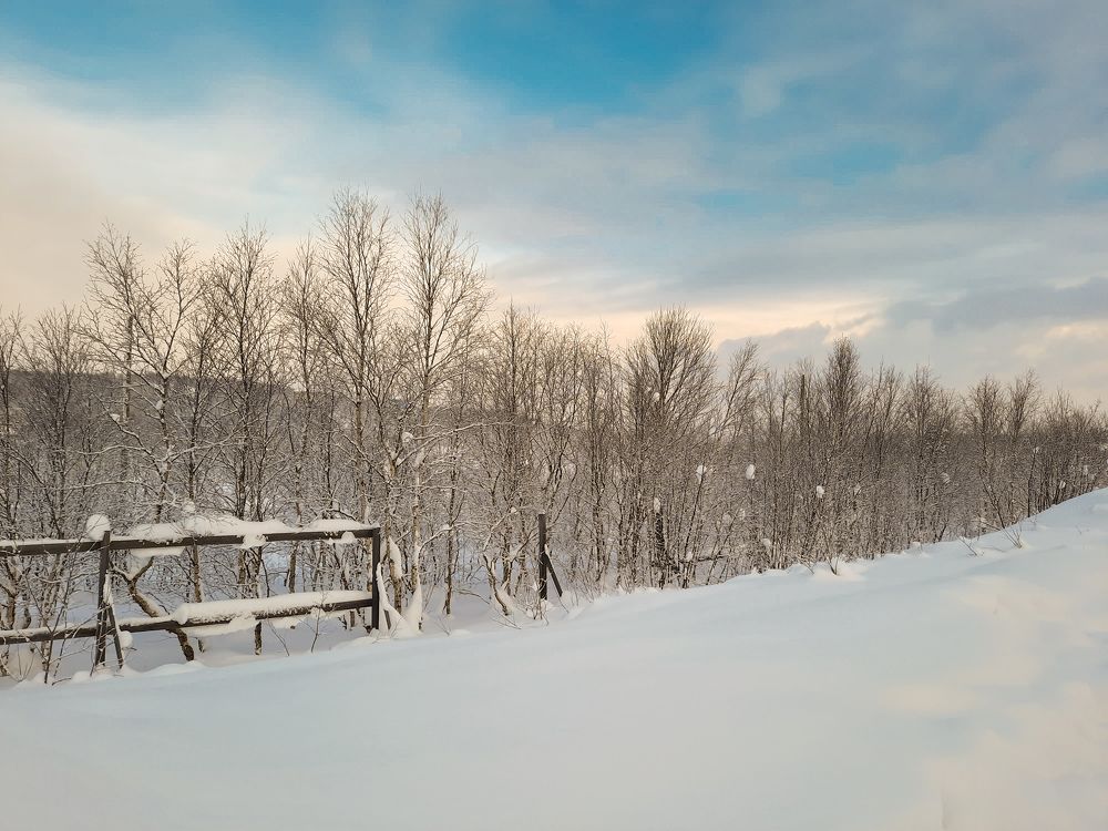 Photograph by Светлана Лебедева